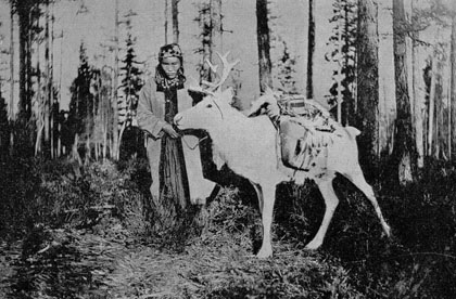 womanreindeer.jpg