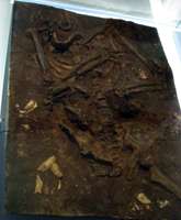 Kebara Skeleton