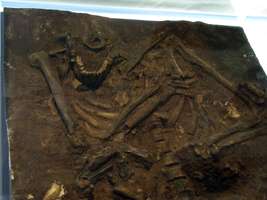 Kebara Skeleton