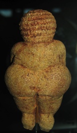 venus of willendorf