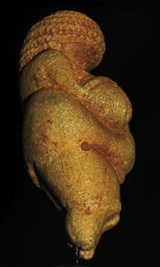 venus of willendorf