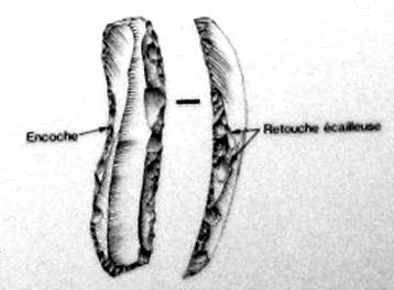 abri pataud