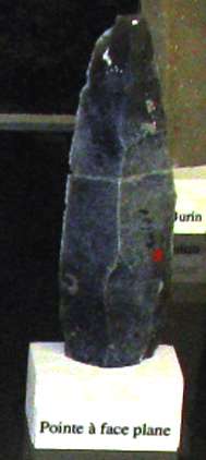 abri pataud