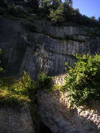 Laugerie Haute
