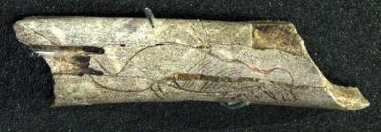 carved  bone