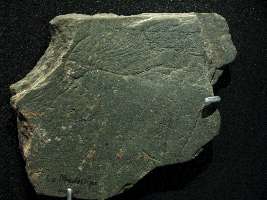 carved plaque