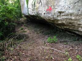 Castel-Merle