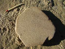 mortar
