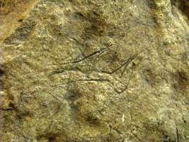 Lalinde style engravings