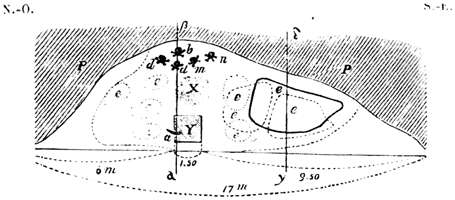 Cro-Magnon cross section