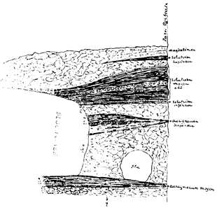 Ruth stratigraphy Breuil