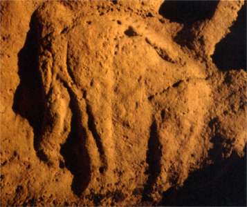  Grotte de Mammouth Domme