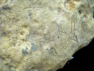 Lalinde style engravings