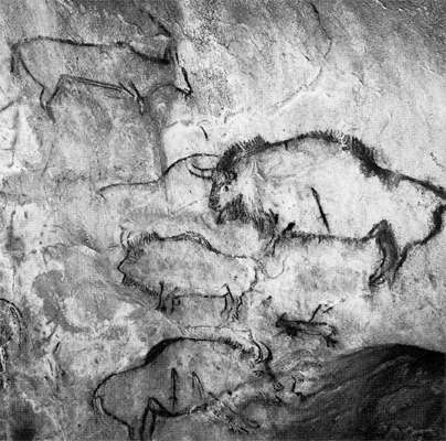 bison ibex horses