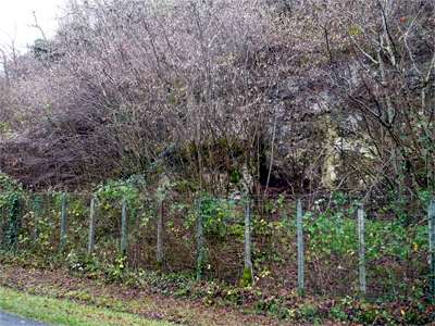 La Quina site