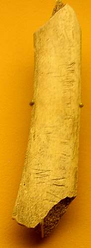 La Quina bone
