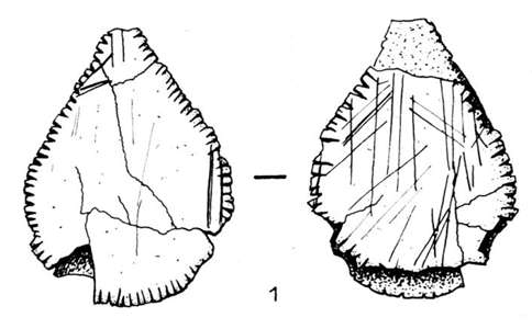 pear shaped bone placard