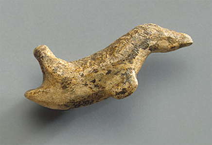 Malta swimming bird