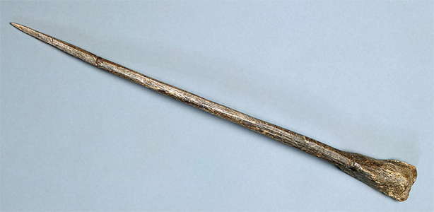 Malta  spike