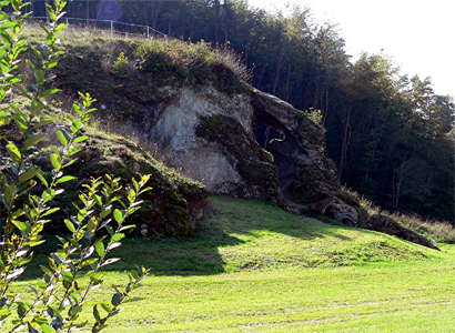 Petersfels site