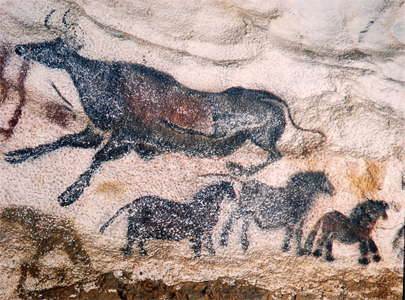 Lascaux aurochs and horses