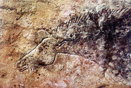 horse lascaux