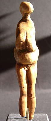 tall Gagarino venus