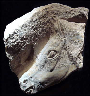 horse