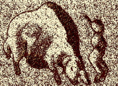 man musk ox