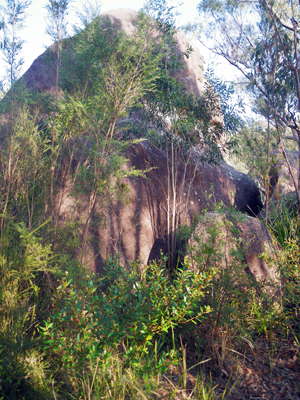 world heritage walk