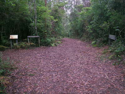 world heritage walk