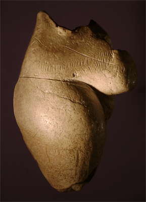 Poire venus