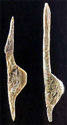 Two venus figures