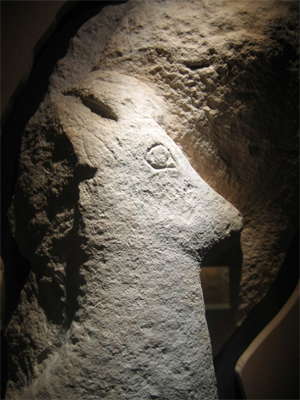 chamois