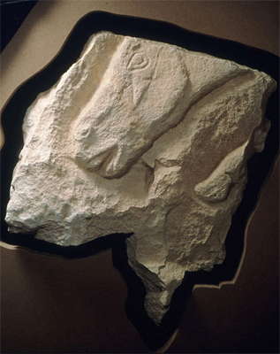 Head of a horse.
