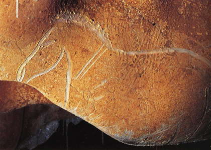 horse engraved