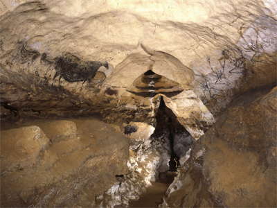 Nave, Lascaux