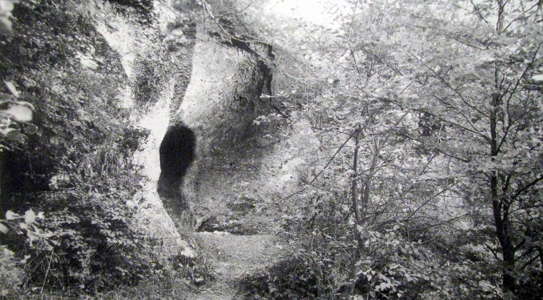 Petersfels site
