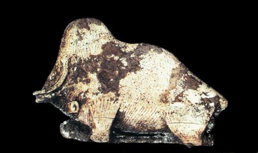 Mammoth propulseur