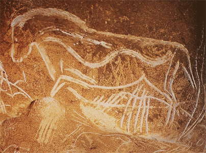 horse