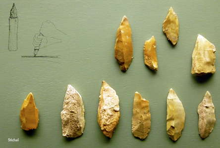 Stichel or burins from Petersfels