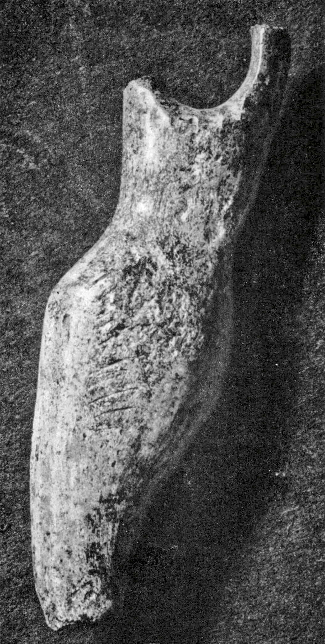 Venus of El Pendo Cave (Santander)