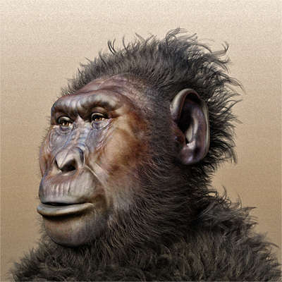 Australopithecus boisei