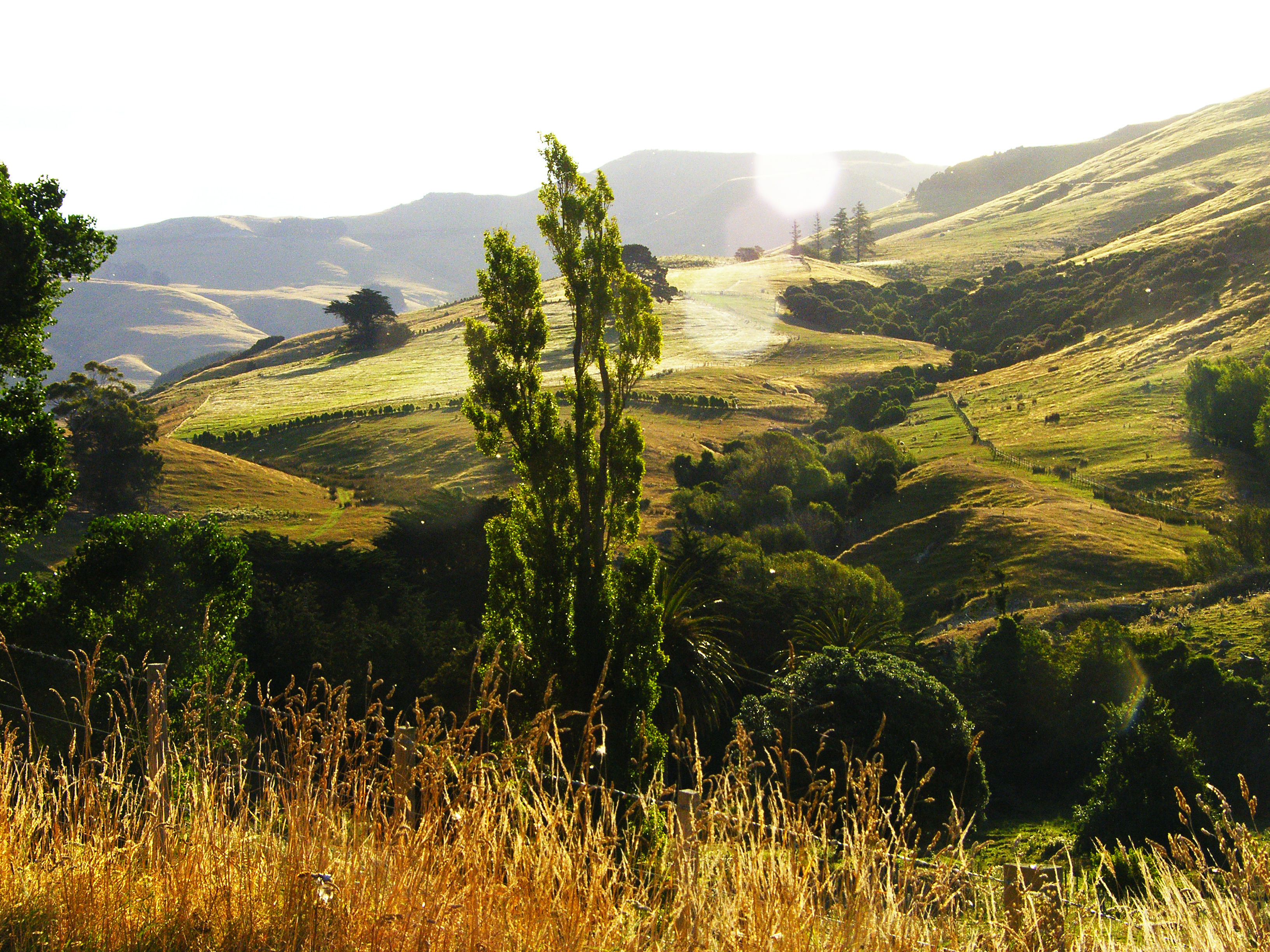 Shire Shire Shire Shire