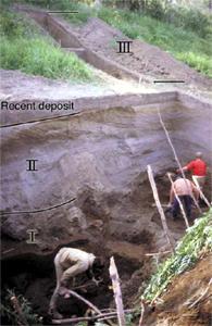 Kurya Excavation
