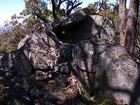 bushwalk
