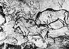 bison