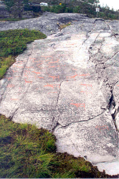 Rock Carvings