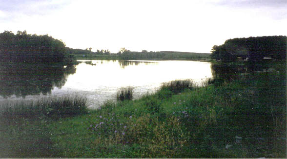 Looking towards the mainland from the delta