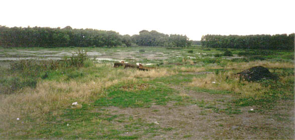 Many parts of the delta are swampy and may contain quicksand